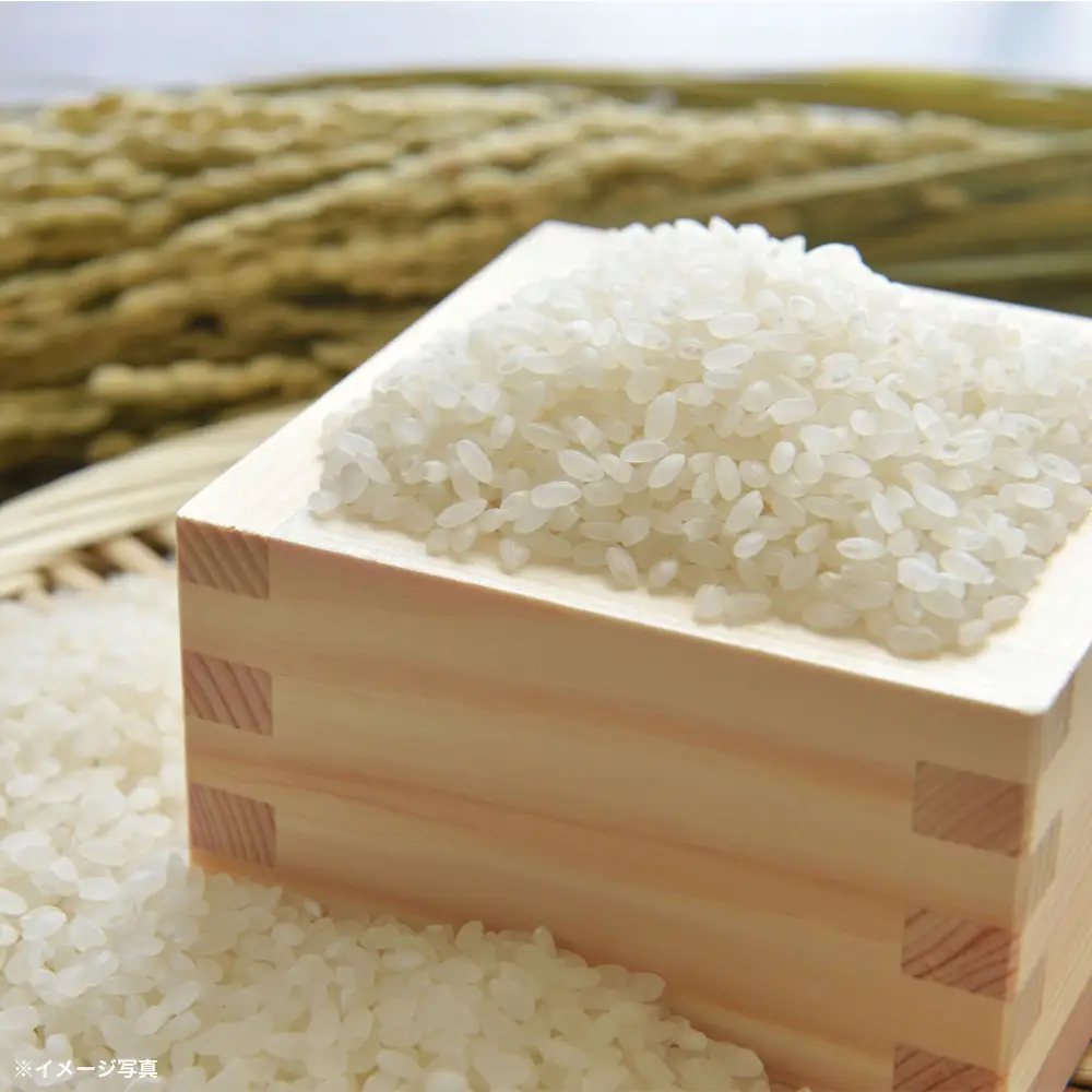福島県桑折町産こしひかり「銀しゃり」　5kg　【07301-0254】
