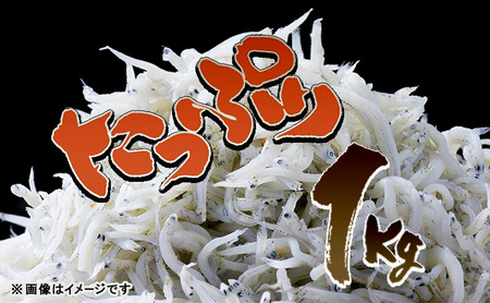 しらす 1kg 義丸のだんじり しらす
