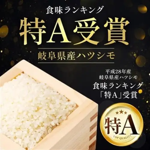 【毎月定期便】岐阜県産ハツシモ(無洗米) 10kg全12回【配送不可地域：離島】【4076358】