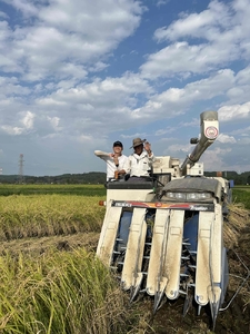 令和7年度産　栃木県産にじのきらめき 精米5kg　栃木県共通返礼品｜米 コメ 地域おこし協力隊