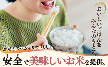 奈良県産 コシヒカリ 精米 20kg 【令和7年産】| 米 精米 コシヒカリ もちもち 奈良県 五條市