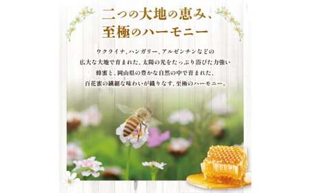 【 海外産×岡山県産ハチミツのコラボ 】 黄金ブレンドはちみつ （便利なワンタッチボトル） 500g×2本 （合計1kg） ／ ブレンドはちみつ 蜂蜜 はちみつ ハチミツ 海外産 国産 岡山県 美咲町 常温