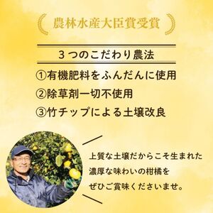 【先行予約】【発送期間：2026年10月～なくなり次第終了】愛媛みかん 約1kg みかん