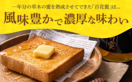 【全12回定期便】 対馬 和蜂 はちみつ 300g×1本 《対馬市》【特定非営利活動法人 對馬次世代協議会（対馬コノソレ）】 蜂蜜 ハチミツ 日本ミツバチ ニホンミツバチ[WAM048]