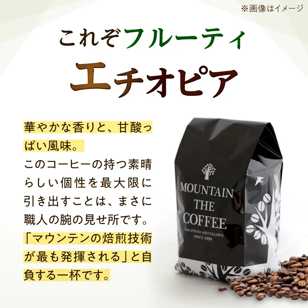 【スピード発送】エチオピア・イルガチェフェ  200g 中挽き コーヒー 珈琲 豆 粉 コーヒー豆 コーヒー粉 ドリップ ギフト 大阪府高槻市/自家焙煎コーヒー マウンテン[AOEL013-02]