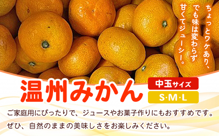 ＜fululy直送 温州みかん 訳あり 約3kg 中玉サイズ（S～L）＞ ワケアリ サイズ混合 中玉 果物 フルーツ 蜜柑 うんしゅうみかん ウンシュウミカン 柑橘 家庭用 合同会社fululy 直送 愛媛県 西予市【常温】『2025年11月上旬～2026年2月上旬迄に順次出荷』 AGF0003
