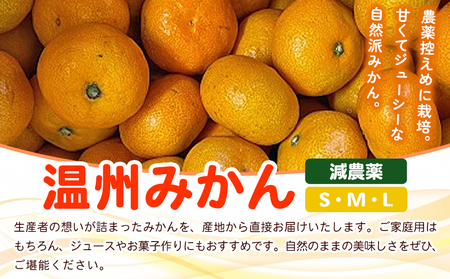 ＜fululy直送 減農薬温州みかん 約5kg＞ サイズ混合 果物 フルーツ 蜜柑 温州ミカン うんしゅうみかん ウンシュウミカン 減農薬 家庭用 柑橘 合同会社fululy 直送 愛媛県 西予市【常温】『2025年11月上旬～2026年1月中旬迄に順次出荷』 AGF0006