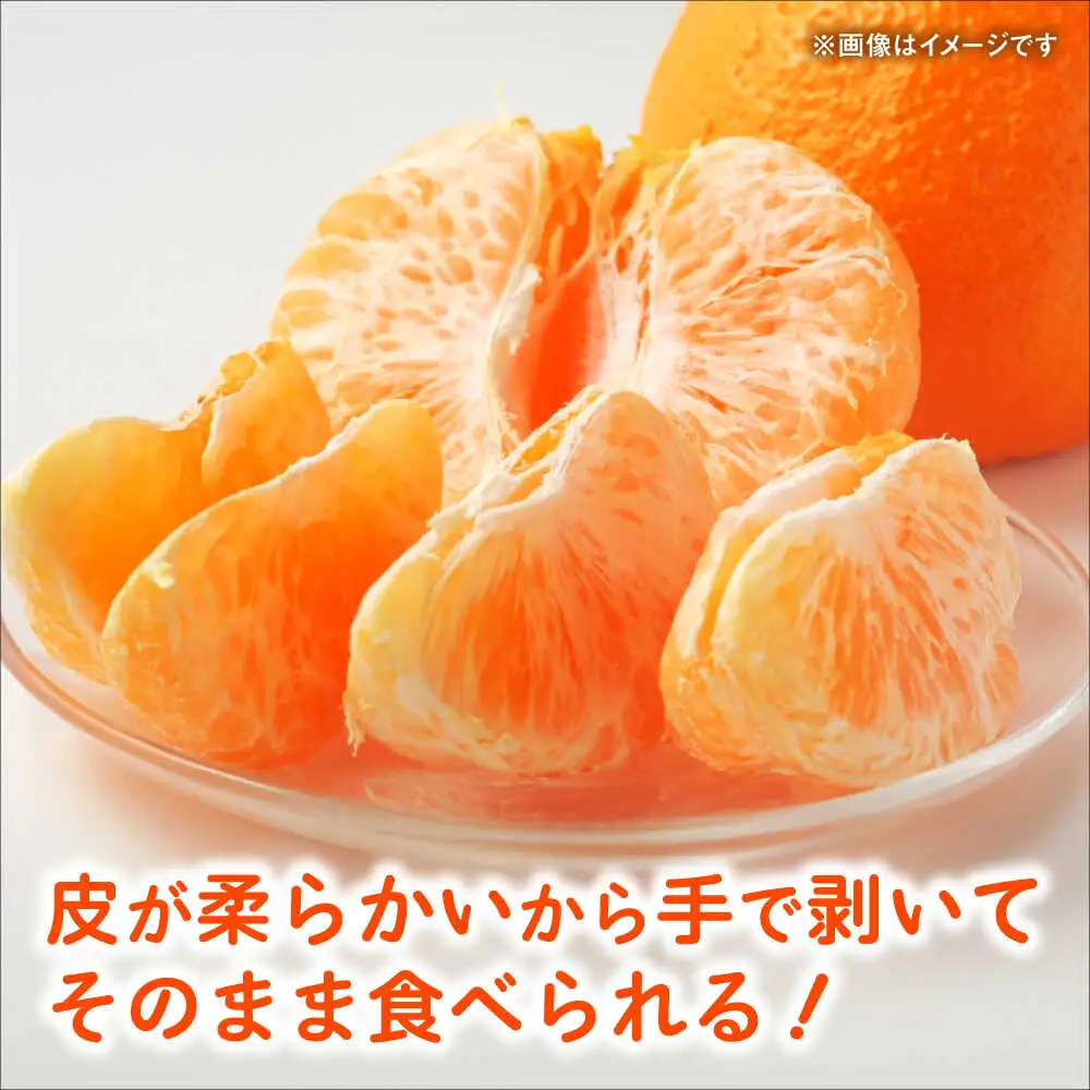 【先行予約】デコポン　約2kg 柑橘 みかん 蜜柑 熊本 フルーツ 果物 【日本フルーツ株式会社】[ZFJ032]