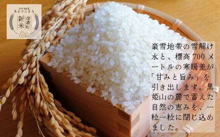 【先行予約・新米】令和8年産 あきたこまち 20kg 白米 信濃町 高原米 標高700mの雪解け水が育む甘み