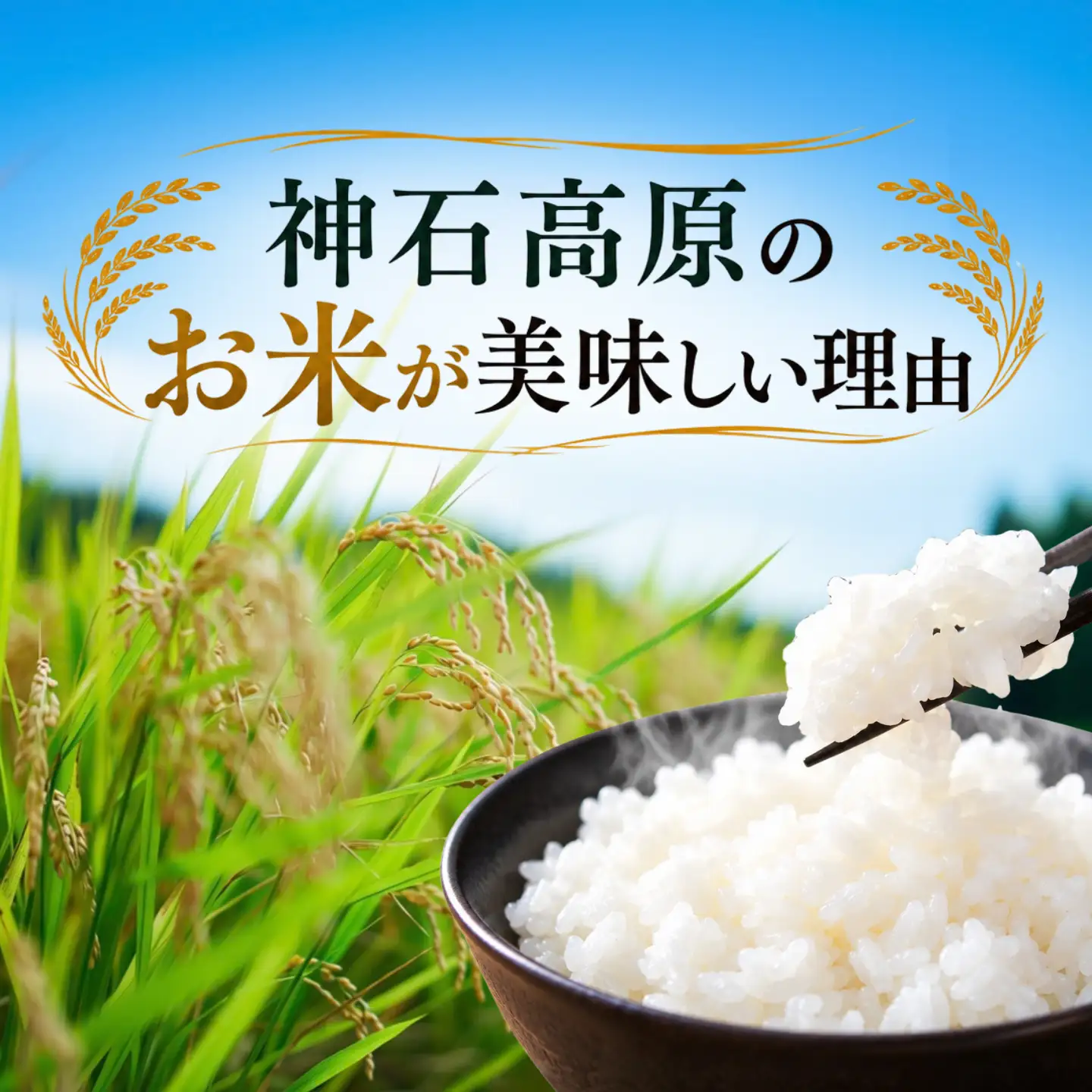 【ふるさと納税】コシヒカリ 神石高原産 新米 5kg 令和8年産 ＜美味しいお米を知っていただきたい＞ お米 白米 ご飯 ごはん 白ご飯 白飯 国産 コメ 広島県 神石高原町 送料無料《1カ月以内に出荷予定(土日祝除く) 》