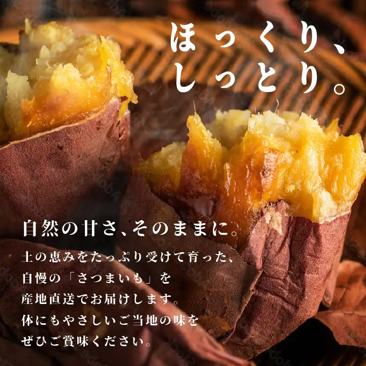 さつまいも 紅はるか 3kg ｜さつまいも【株式会社橋本】