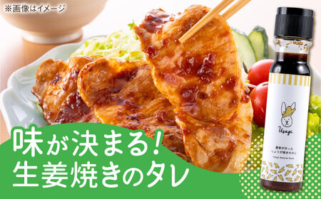 農家が作った生姜焼きのタレ 3本セット ギフトボックス入り【うさぎ農園】[AYDJ011]