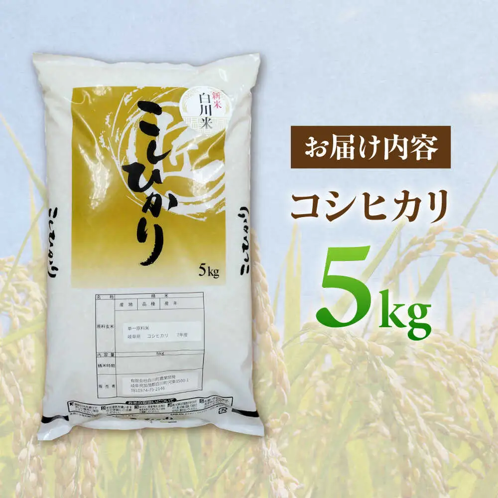 令和7年産 コシヒカリ 5kg 白川町 / 白川町農業開発[AWAH030]コシヒカリ