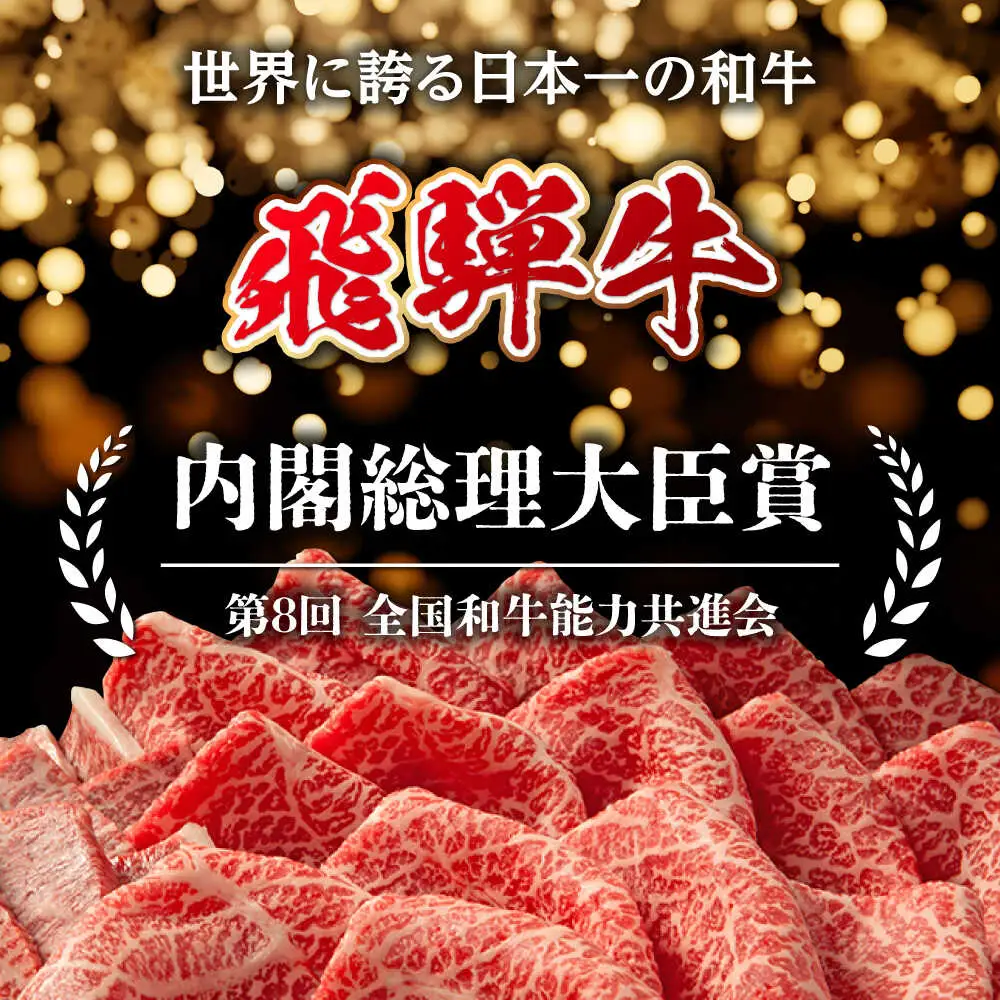 【6回定期便】飛騨牛 焼肉用赤身 600g / 浅井商店[AWBJ013] 飛騨牛