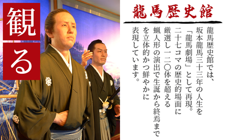龍馬歴史館ペアチケット ak-0002
