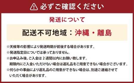 とうもろこしゴールドラッシュ　12本入り [さとう農園 山梨県 中央市 21471039] トウモロコシ スイートコーン 甘い コーン 野菜 【2027年6月下旬～7月下旬発送予定】