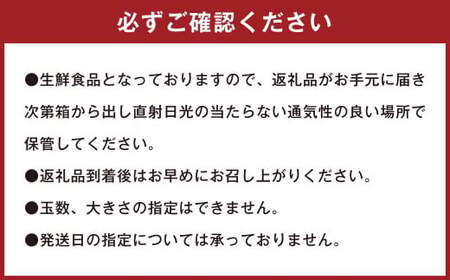 潮風をたっぷり受けた濃厚不知火 7～10玉（約2kg）【2027年2月下旬-3月上旬発送予定】 デコポン みかん 柑橘 果物 フルーツ 熊本