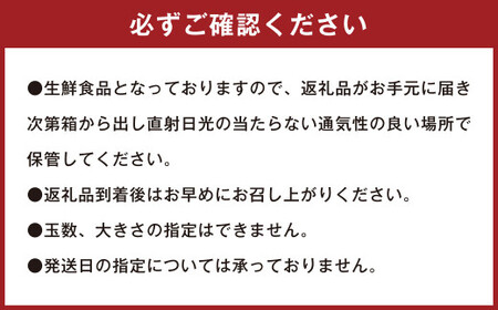 潮風をたっぷり受けた濃厚不知火 12～20玉（約4.5kg） 【2027年2月下旬-3月上旬発送予定】 デコポン みかん 柑橘 果物 フルーツ 熊本