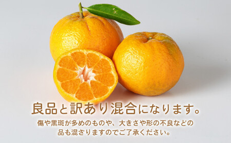 環境マイスターのポンカン 良品・訳あり混合 4kg （栽培期間中は無肥料・農薬不使用） 果物 くだもの フルーツ ぽんかん 柑橘 みかん 【2027年1月下旬-3月上旬迄順次発送予定】
