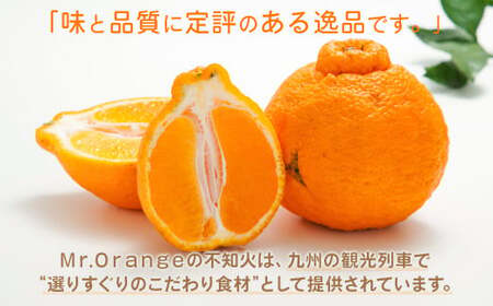 【訳あり】環境マイスターの不知火 20kg （栽培期間中は無肥料・低農薬） 果物 くだもの フルーツ 不知火 しらぬい 柑橘 みかん 【2027年2月上旬～5月上旬迄順次発送予定】