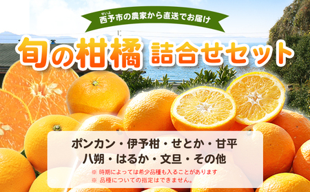 ＜fululy直送 柑橘詰合せセット 約3kg＞ 詰め合わせ 旬 食べ比べ おまかせ 果物 フルーツ 蜜柑 ポンカン 伊予柑 せとか 甘平 八朔 はるか 文旦 柑橘 贈答用 合同会社fululy 直送 愛媛県 西予市【常温】『2026年2月上旬～3月下旬迄に順次出荷』 AGF0013