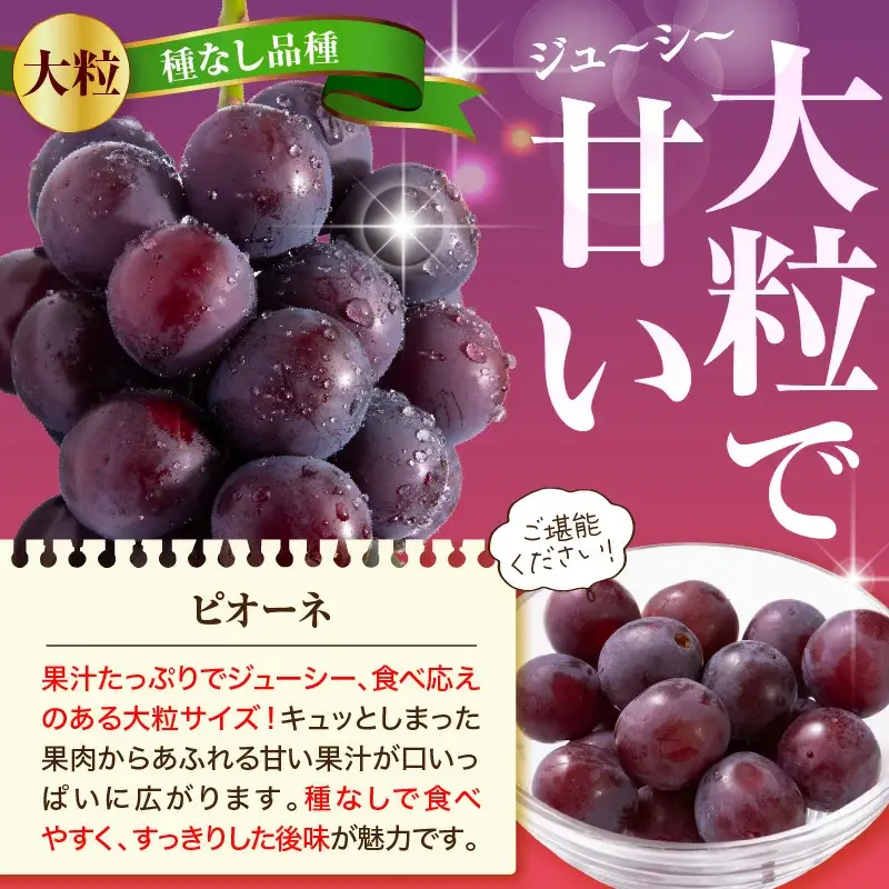 ぶどう 種なし ピオーネ 1kg フルーツ 果物 山形 天童 ブドウ