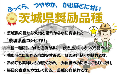 【5kg】茨城県産 コシヒカリ　1等精米5kg ／ 令和7年 新米 米 お米 こめ コメ 精米 白米 ご飯 国産米 5kg 5キロ コシヒカリ こしひかり 甘み 粘り 香り ツヤ おいしい お取り寄せ 産地直送 産直 茨城県 No.865