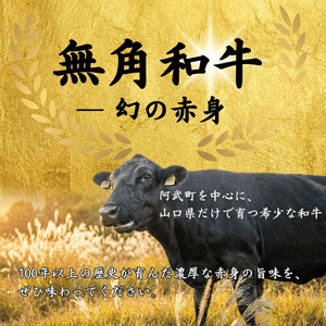 無角和牛100％ 噛む噛むハンバーグ 5個セット