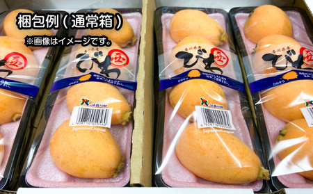 【2027年5月下旬以降発送】 びわ なつたより 約1kg  先行予約 枇杷 香川県 丸亀市