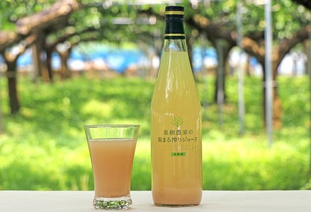 ジュース まる搾り 梨ジュース 720ml×2本 梨 果樹農家 林農園 