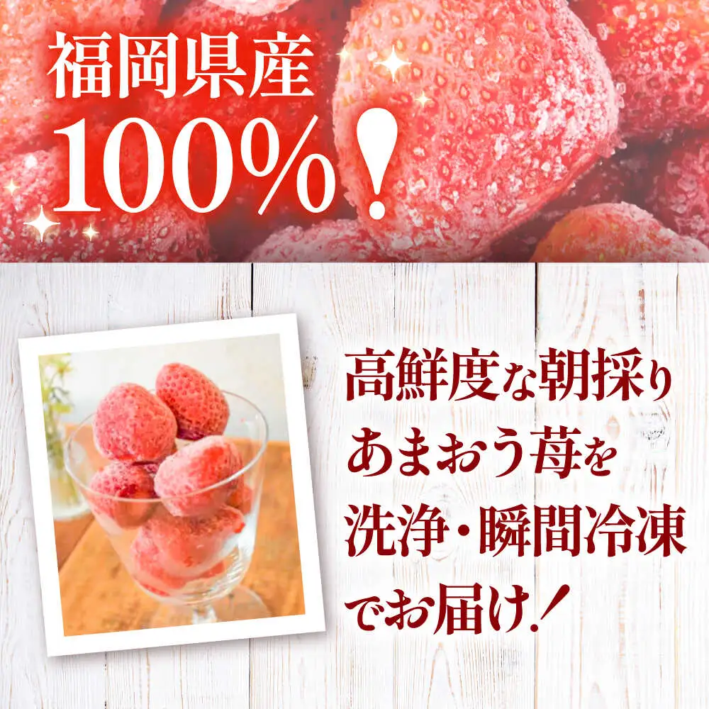 【訳あり】福岡県産 冷凍あまおう500g(250g×2個) [VEG011]いちご 苺 イチゴ 取り寄せ