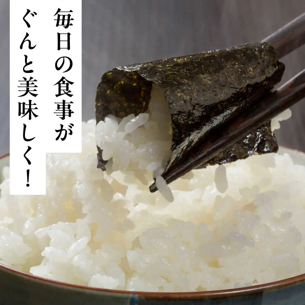 福岡有明のり 潮風のたよりセット 味付海苔 10切80枚×6本(合計480枚) [VEH001]