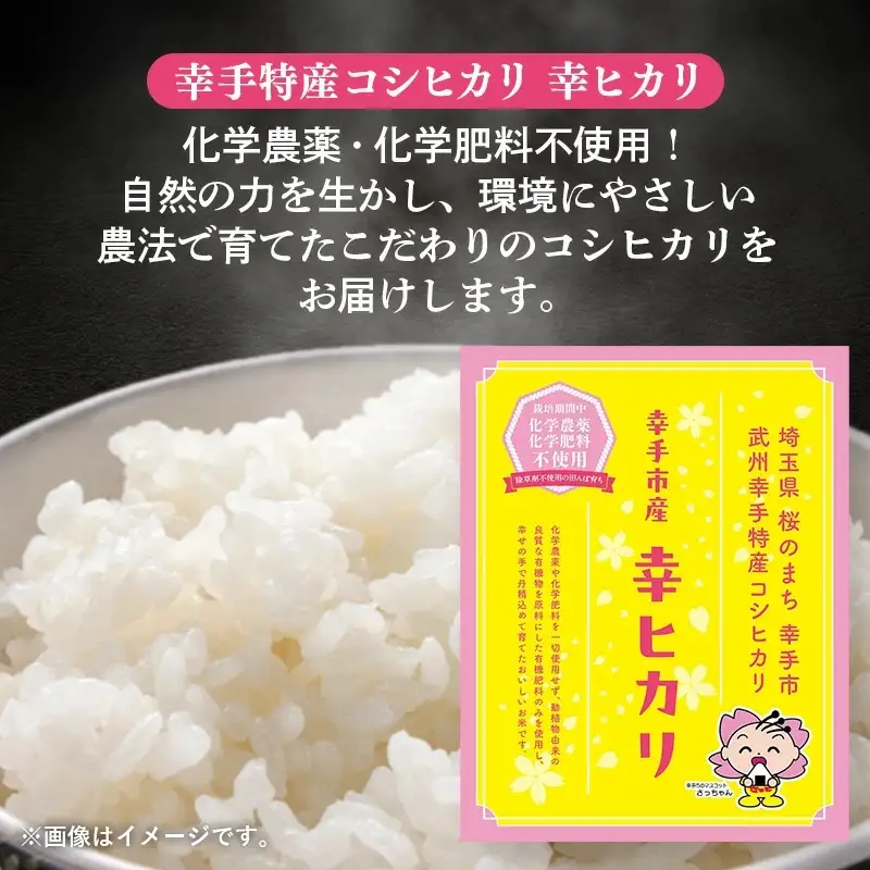 【令和7年産】無農薬・無化学肥料栽培 埼玉県幸手市産特別栽培コシヒカリ 「幸ヒカリ」精米10kg -  米 特別栽培米 幸手市産