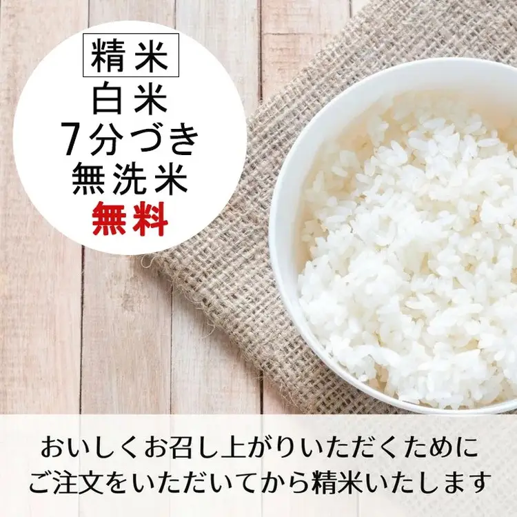 【3回定期便】令和8年産 きぬひかり 玄米 10kg 玄米