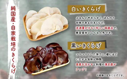 国産 乾燥きくらげ （黒・白）食べ比べセット 計48g きのこ 希少 MONOQLO【C455】
