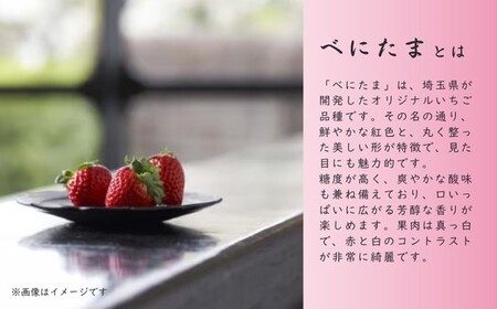 【先行予約】いちご べにたま ギフト 煌 30～36粒 850g | いちご＼ 期間限定 特別寄附額 ／