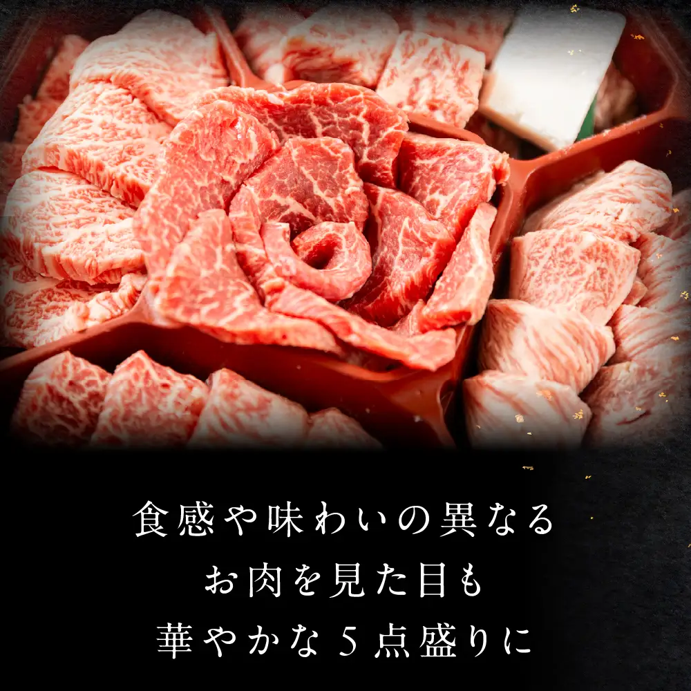 飛騨牛 花盛 焼肉食べ比べ 500g（5点盛り）【22-46】