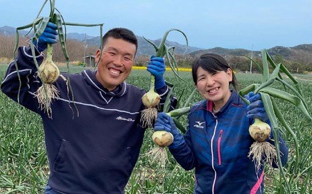【新玉予約】トロっと甘い！！淡路島産新玉ねぎ 10㎏◆R9.3月上旬～5月中旬発送