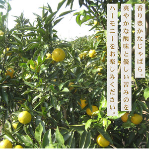 【期間限定発送】みかん じゃばら 1kg みかん 牧之原市