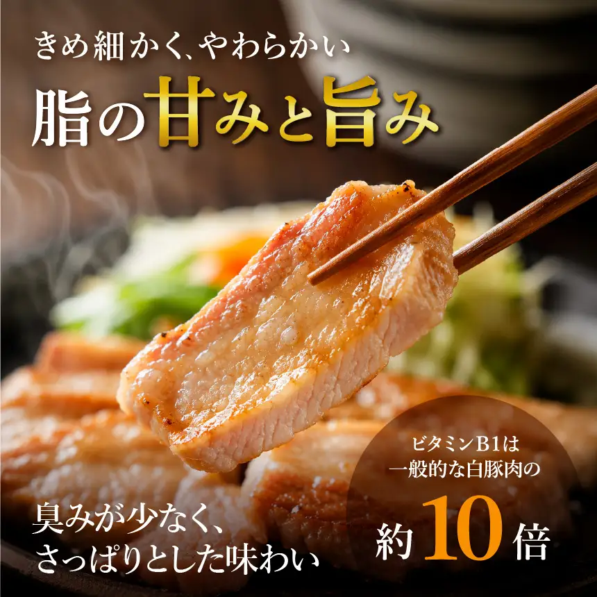 下郷農協の耶馬渓黒豚 ミンチ 400g (200g×2パック）| お肉 豚肉 ポーク 国産 黒豚 大分県 中津市