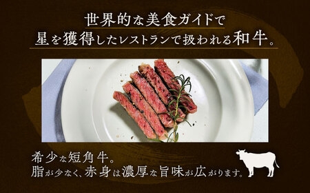 短角牛 ハンバーグ 160g×10[BEAI090]