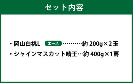 岡山県産 岡山白桃 エース Lサイズ 約200g×2玉・シャインマスカット 晴王 約400g×1房 詰合せ 【2026年7月上旬～8月下旬発送予定】 白桃 桃 もも モモ マスカット ぶどう 葡萄 ブドウ セット