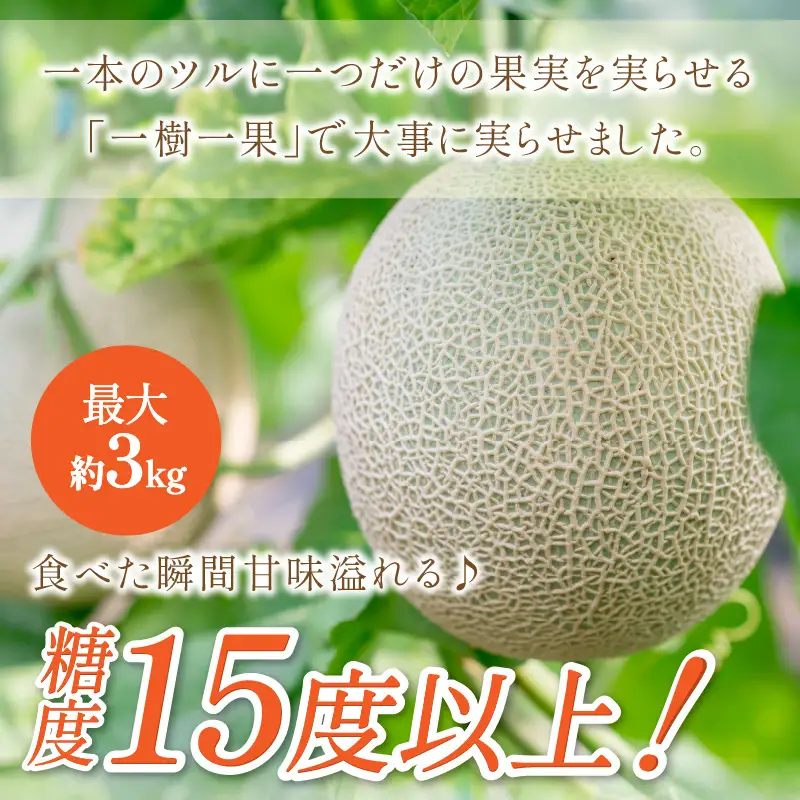 感謝のメロン 「うしわか」 1玉 ≪先行予約≫ フルーツ メロン【FN1268-1】