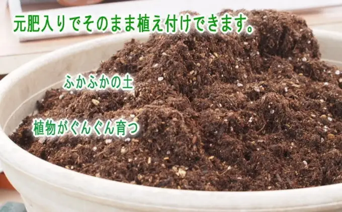 ハーブ苗 28ポット 培養土 20L 1袋 セット ガーデニング 植物 インテリア ガーデニングショップ四季の里 