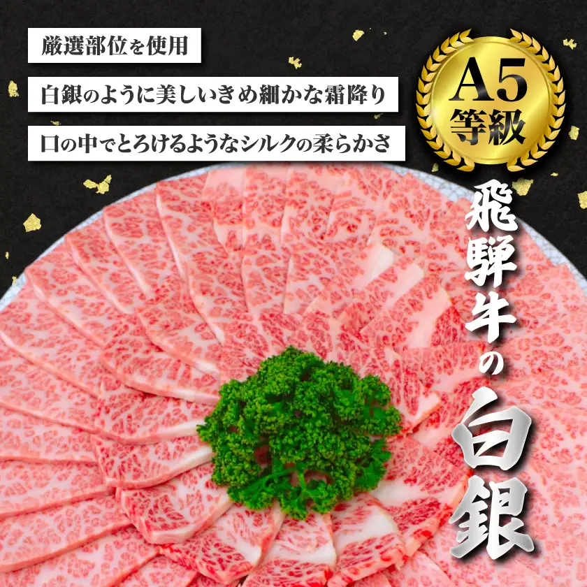 【ふるなびWEEK対象】【飛騨牛】白銀焼肉用500g【配送不可地域：離島】【1686848】