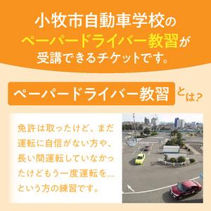 小牧市自動車学校のペーパードライバー教習(1時限分)チケット 小牧市自動車学校 ペーパードライバー 教習 1時限分 チケット 1枚 路上コース 小牧市内 観光スポット巡り 初心者 サポート 運転 不安解消 ドライビングレッスン 自動車学校 愛知県 小牧市 送料無料 [186A02]