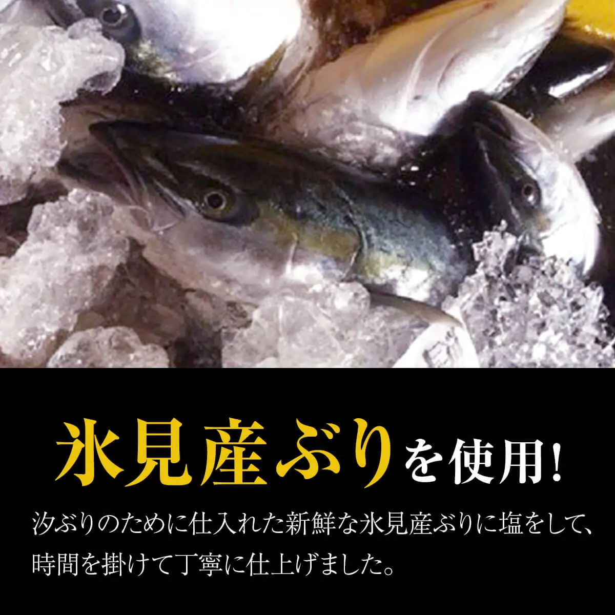 氷見産汐ぶり片身丸ごと！（ぶり生ハム付き）　|  汐ぶり 汐鰤 汐ブリ 新鮮な鰤 氷見鰤 氷見ぶり 氷見ブリ 鰤ハム 氷見漁港 富山湾