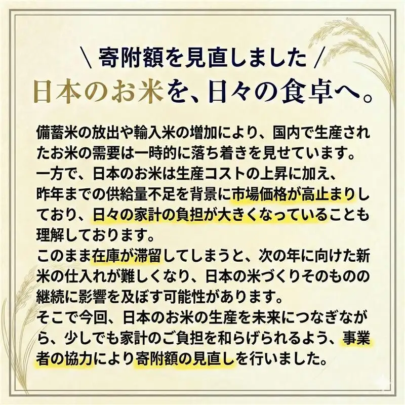 【隔月6回定期便】阿蘇びより 無洗米 5kg 無洗 