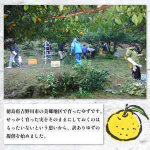 訳あり ゆず 1kg 家庭用