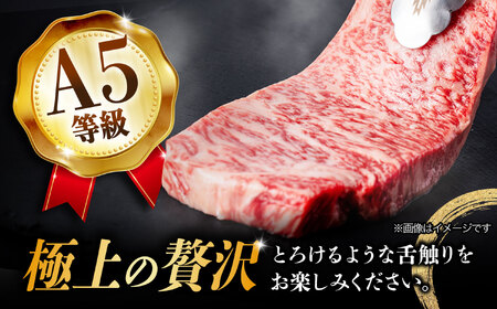 【12月発送】【飛騨牛】 A5等級 サーロイン ステーキ用 10枚 (計2.5kg) 和牛 ブランド牛 国産 牛肉 多治見市 / 渡辺精肉店 [TAZ003-12]